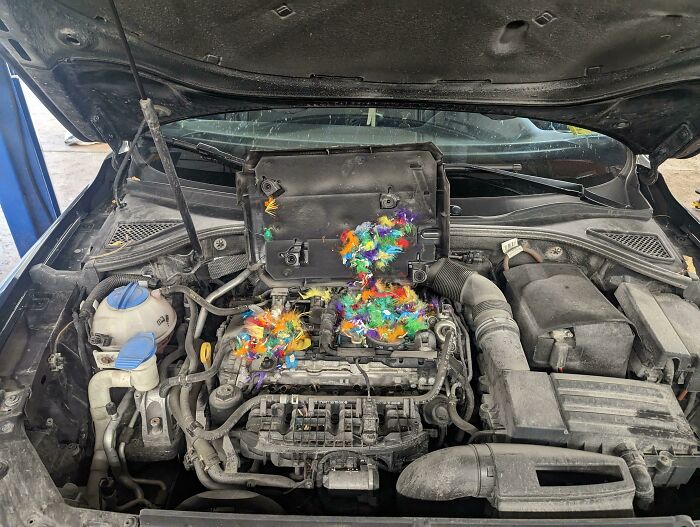 "Well, I'm Not Sure How To Say This, But It Looks Like Your Engine Bay Has Been Overtaken By Gay Mice"