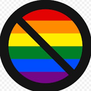 kevingrafthebird avatar