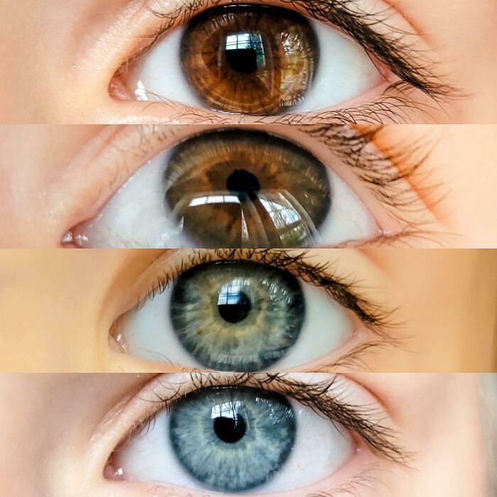 My Husband Has Brown Eyes, I Have Blue. These Are Our Four Children's Eyes