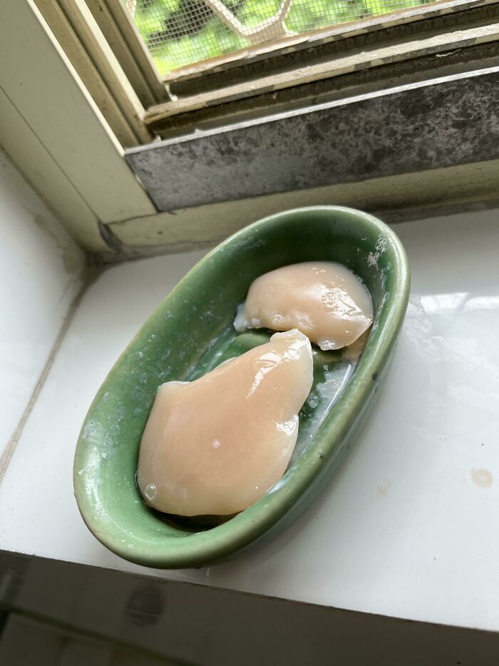 My Used Soap Bar Looks Like Chicken Breast