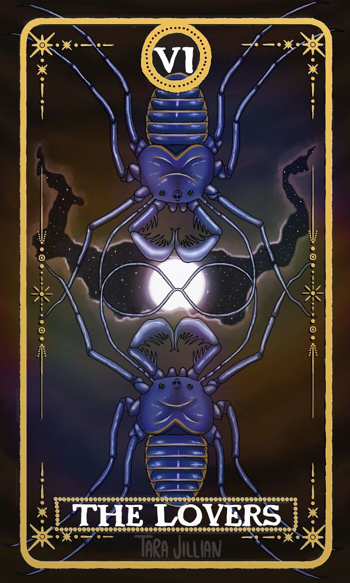 The Lovers / Whip Spider