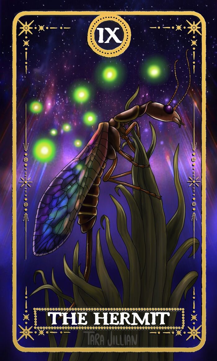 The Hermit / Snakefly