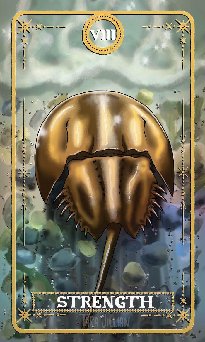 Strength / Horseshoe Crab