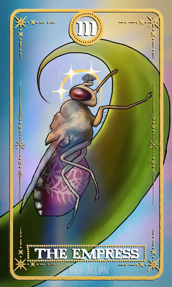 The Empress / Tsetse Fly