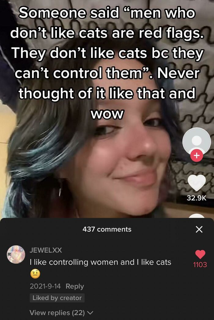 This Person Who Made A Sweeping Generalization About Men Who Don't Like Cats