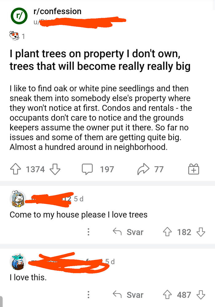 The Tree Planter