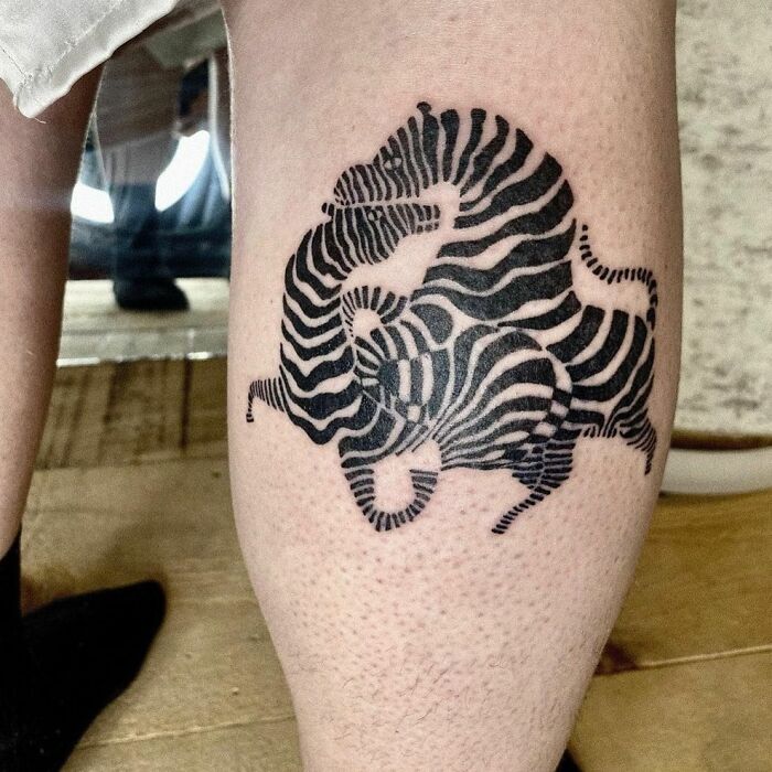 Zebra's Optical Illusion Leg Tattoo