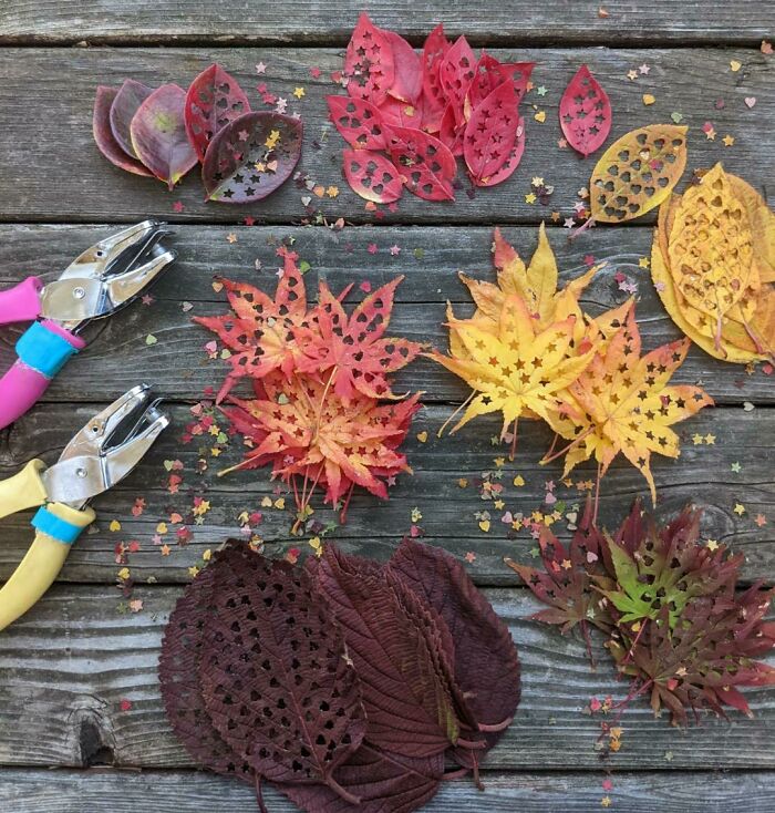 En vez de contaminar con confetti, puedes hacer agujeros a hojas secas