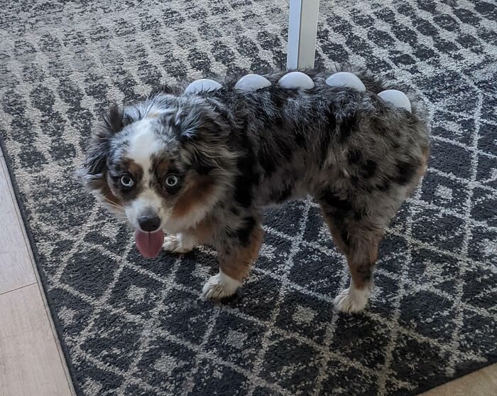 There Was A Heat Wave, So I Tried To Cool Her Down With Ice Cubes. I Turned Her Into A Dino Instead