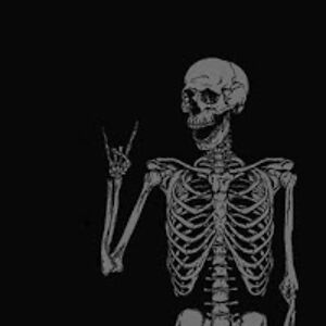 moottootterson avatar