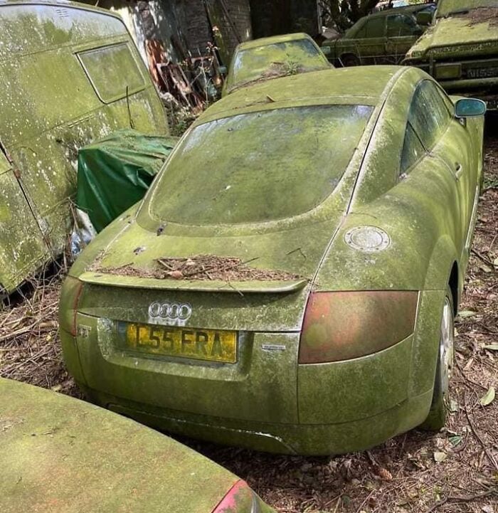 Abandoned Audi TT Quattro Along With A Lot Of Other Abandoned Cars UK