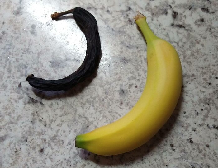 My Dad Found A ~20-Year-Old Banana In His Coat Pocket