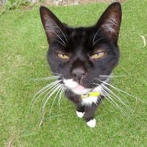 onekidney8661 avatar