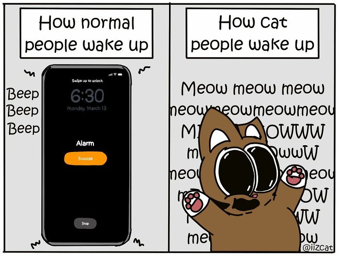 Artist’s New Hilarious Comics About Life With His Cat