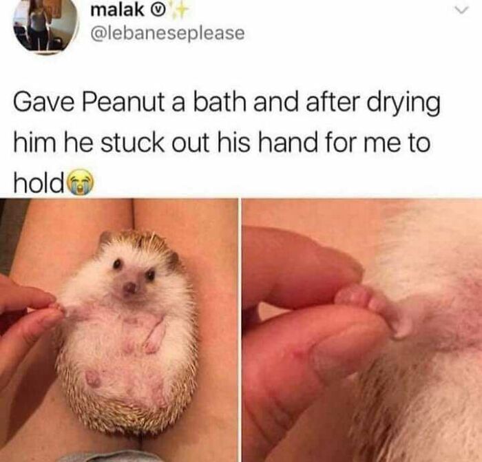 Blessed Peanut