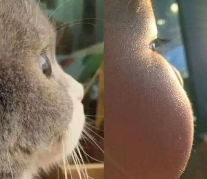 Blessed_cheeks