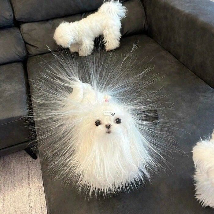 Blessed Static