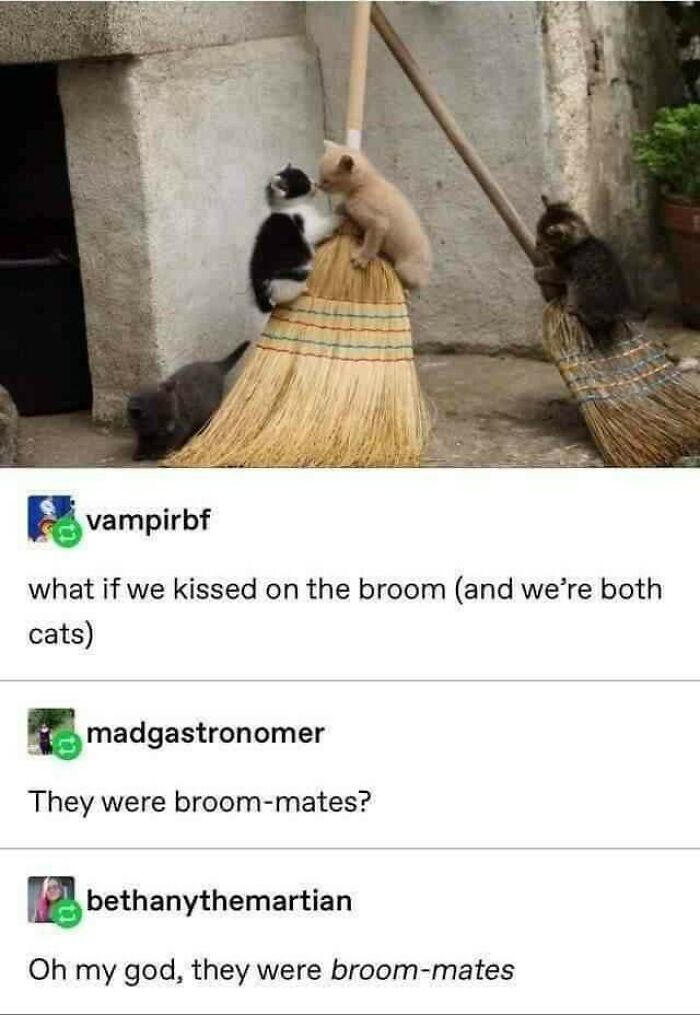 Blessed Broom-Mates