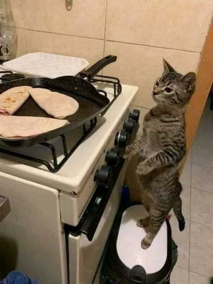 Blessed_chef
