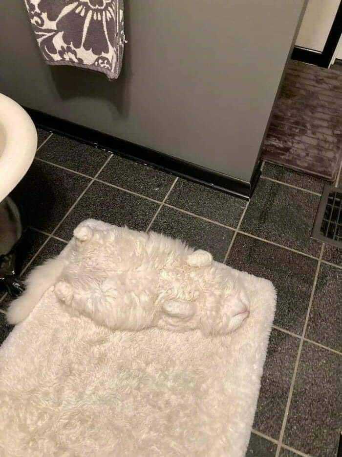 Blessed Rug