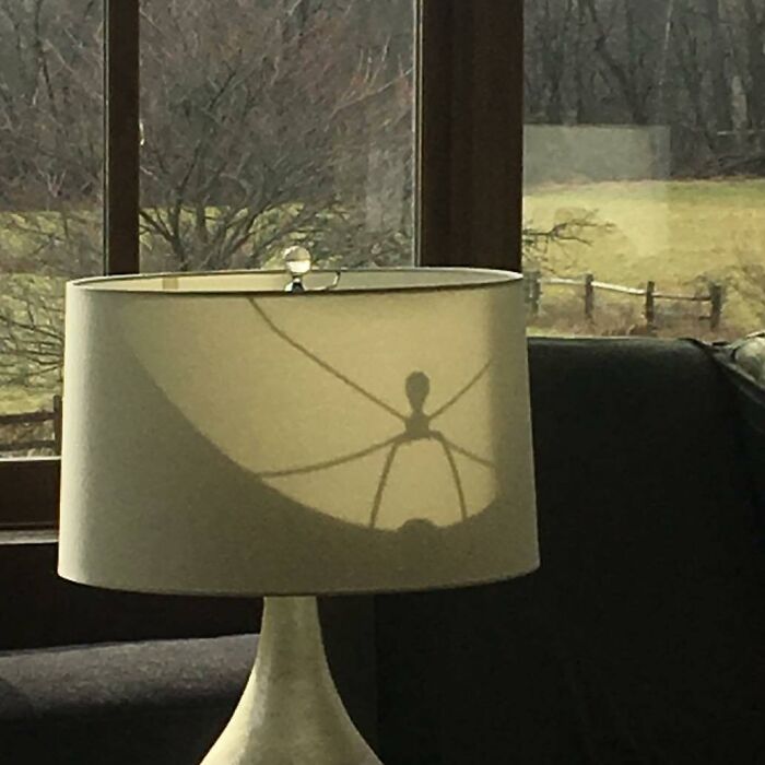 Apparently, There Is A Ginormous Spider Inside My Lamp Waiting To Wish Me A Merry Christmas