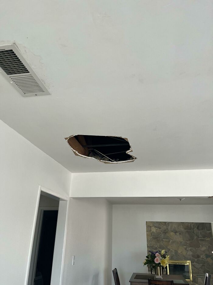 Contractor Fell Through My Sister’s Ceiling