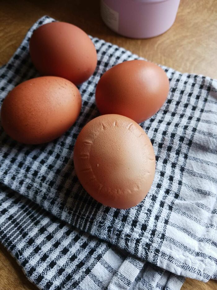 Strange Markings On Our Chicken's Egg This Morning