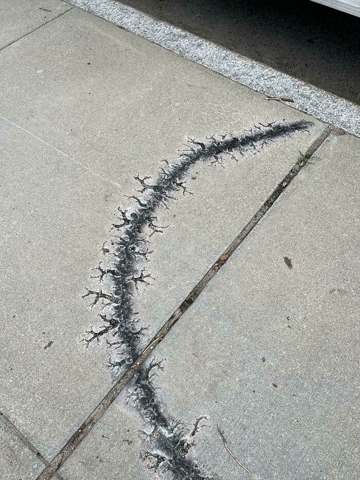 This Weird Burn Mark On The Sidewalk