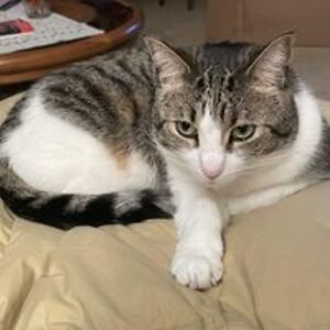 lavonnecarrick avatar