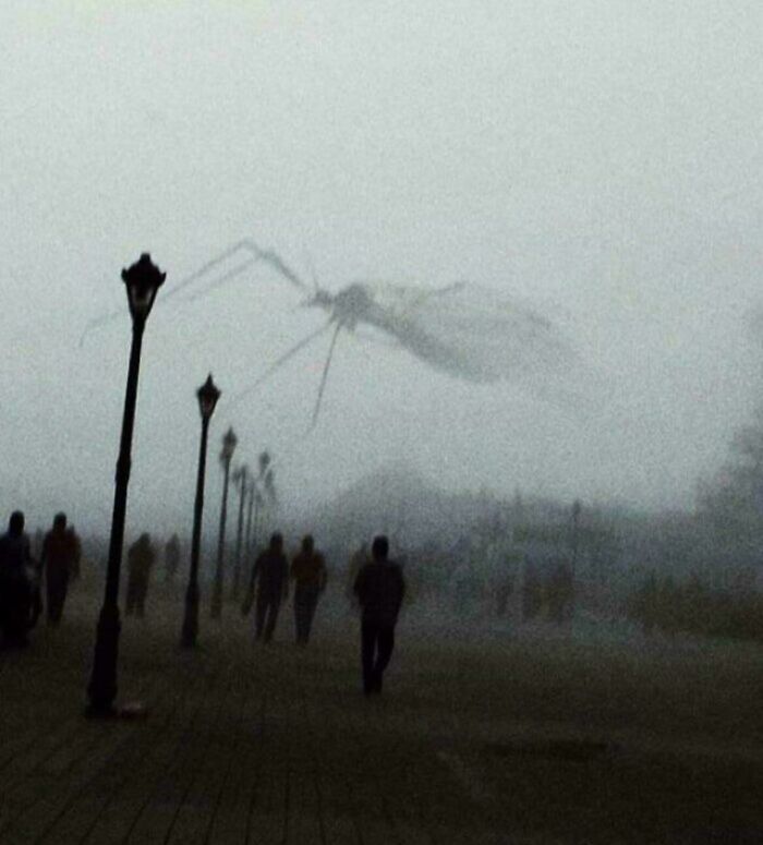 Someone Took A Photo At The Exact Moment A Mosquito Flew Past The Camera
