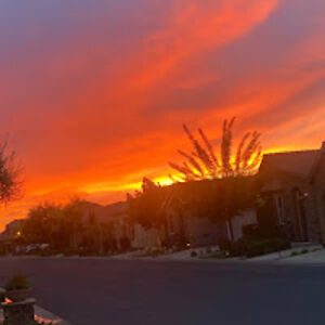 kathykrieghoff avatar