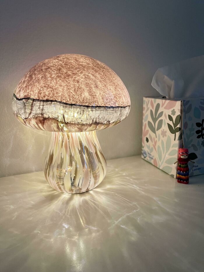 The Precious Mushroom Lamp I Purchased Today