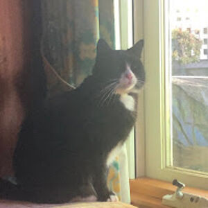 emilyheidenreich avatar