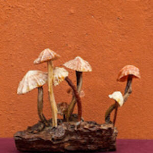 jackiestouffer avatar