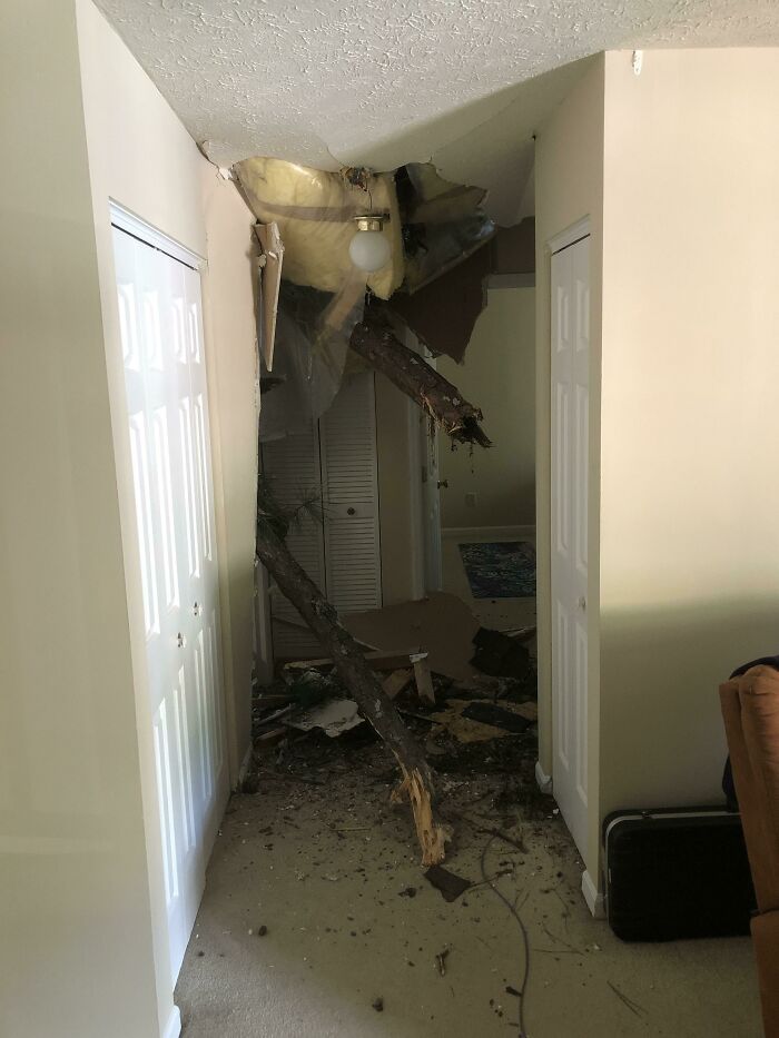 A Tree Tipped Over Onto My Apartment