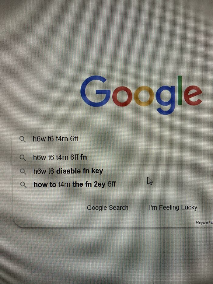 The Common Google Search Results For How To Disable The Fn Key Switch Are Entered By People With The Fn Key Switch Enabled