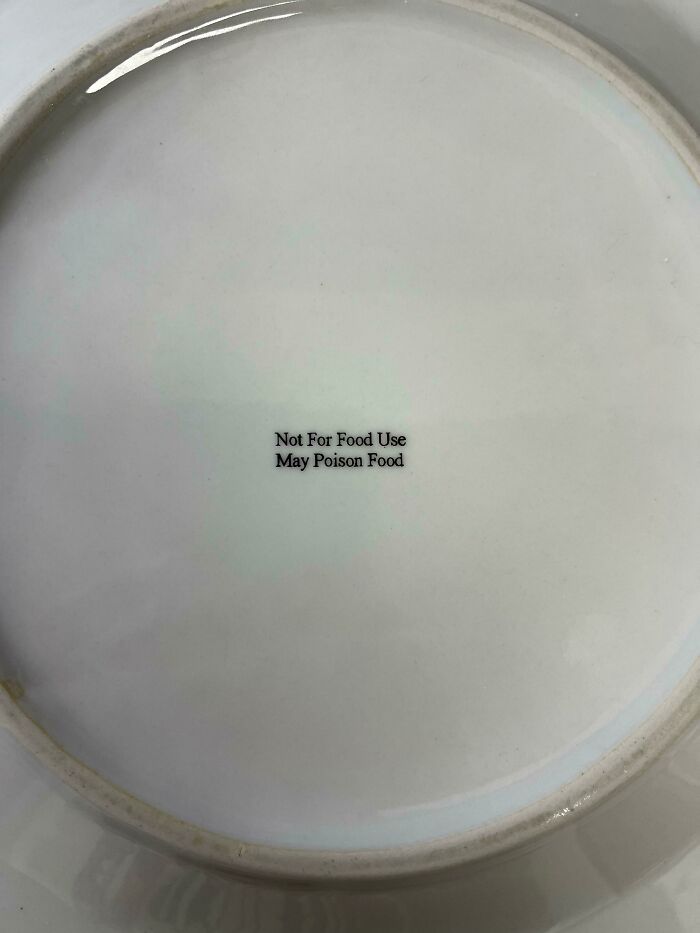 Bought New Dinner Plates, Guess You Need To Always Read The Back First