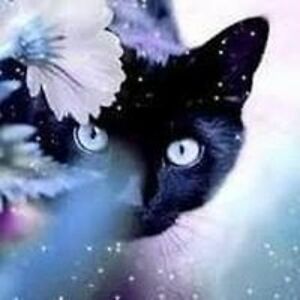 sophie_shriki avatar