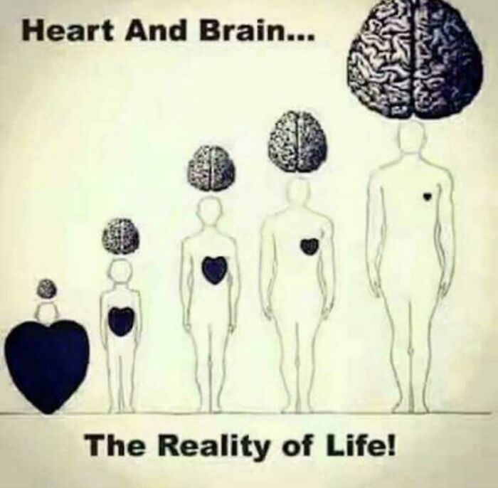 Big Heart=small Brain.. Sad Noises