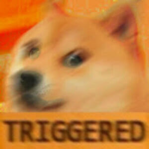 samsamsewysuibakushsewysui avatar