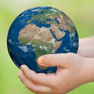 alternathunderfox avatar