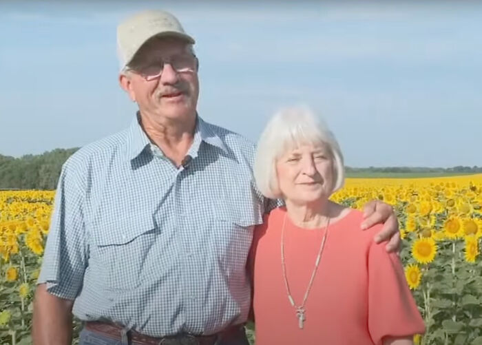 “It Made Me Feel Very Special”: Man Surprises Wife Of 50 Years With A Field Of 1.2M Sunflowers “It Made Me Feel Very Special”: Man Surprises Wife Of 50 Years With A Field Of 1.2M Sunflowers