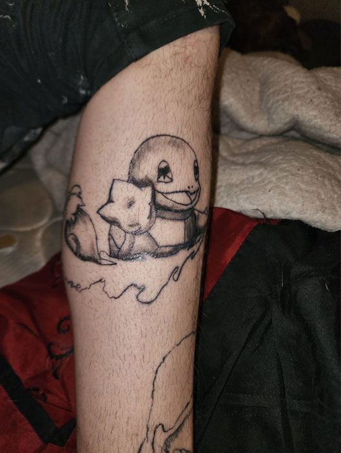 Too Lazy To Finish Squirtle, Roast Me