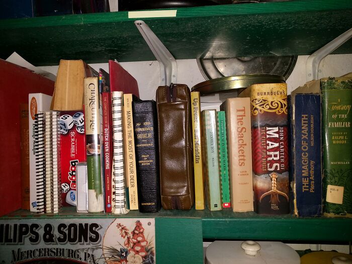 My Small Cabin Book Shelf