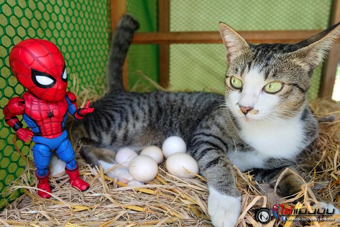 Artist Puts Baby Spider-Man And Animals In The Funniest Scenes (50 New Pics)