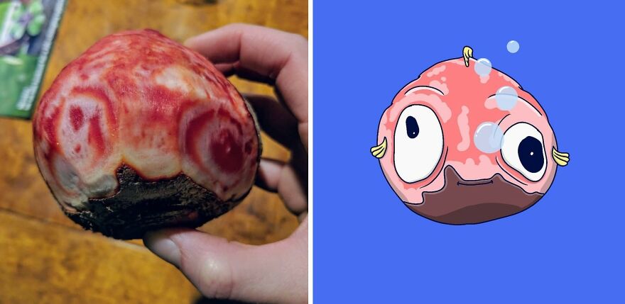 This Artist Sees Faces In Everything And Turns Them Into Fun Illustrations ( 20 New Pics) Interview