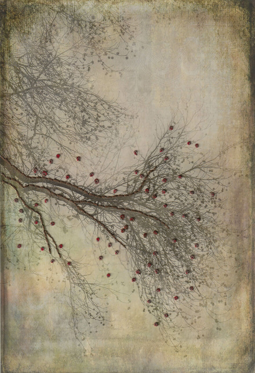 Sweet Gum Embroidered From The Series 'Nature Embroidered' © Myrtie Cope