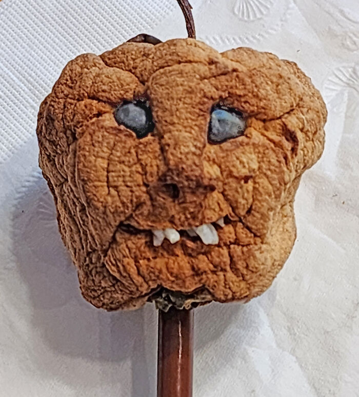 Dried Apple Head!