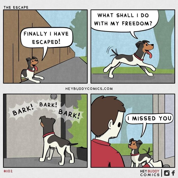 Artist Illustrates Comics Based On His Own Dogs And They Are Too Precious (New Pics)
