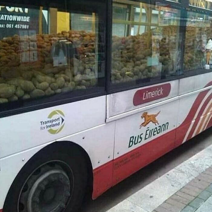 Random-Cursed-Pictures